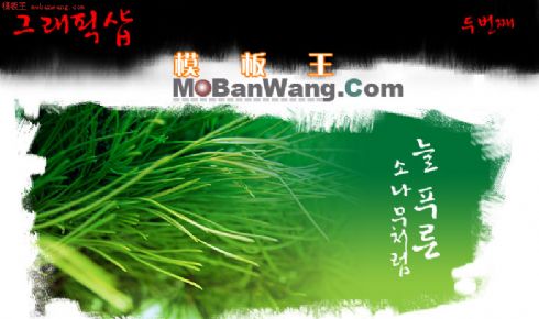 韩国商业网站模板