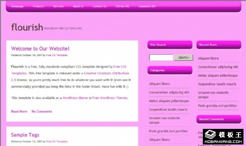 紫红色简单BLOG网页模板