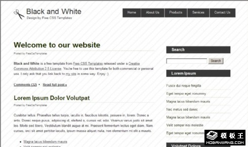 黑白简单BLOG网页模板