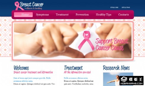 乳腺癌健康与治疗网页模板