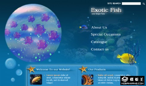 深海之鱼网页模板