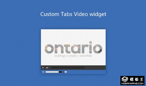 自定义标签视频组件网页模板