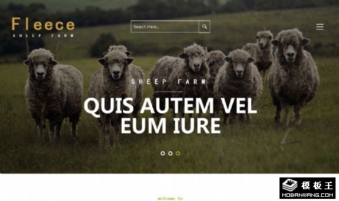 羊毛绵羊牧场响应式网页模板