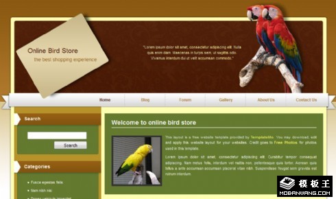 鸟类宠物店网页模板