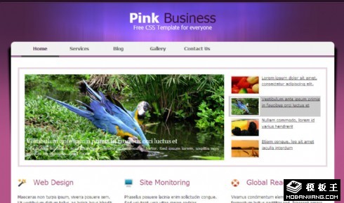 紫粉商务动态展示网页模板
