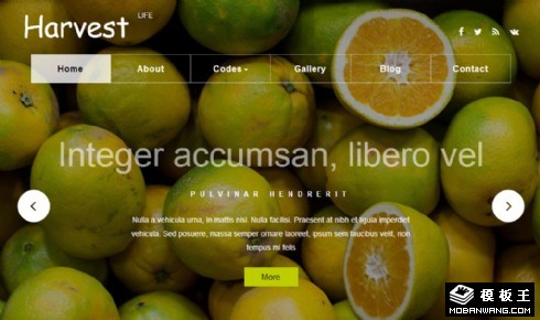 新鲜水果生活展示响应式网页模板
