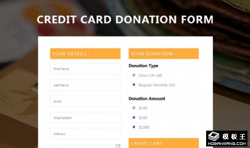 信用卡捐款表单响应式网页模板