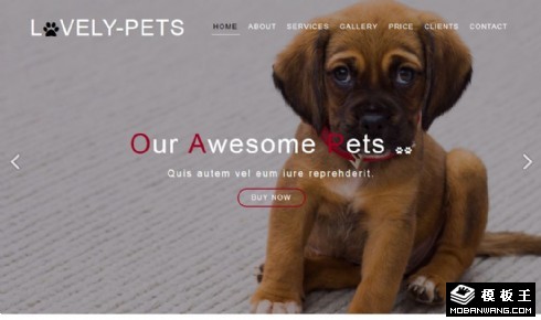 可爱宠物服务中心响应式网页模板