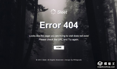 迷雾森林404错误页面模板