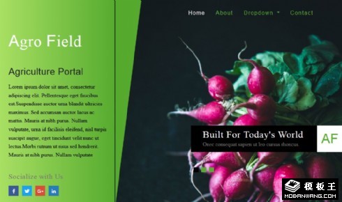 果蔬农业研究公司响应式网页模板