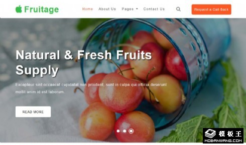 水果供应商响应式网站模板