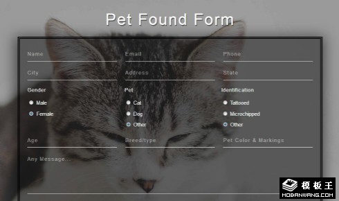 宠物登记表单响应式网页模板