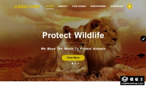 野生动物展示响应式网页模板
