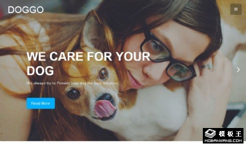 宠物生活服务响应式网页模板