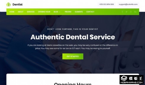牙科诊所技术团队展示响应式网站模板