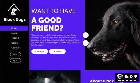 黑犬宠物展示响应式网页模板