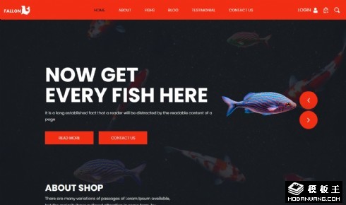 观赏宠物鱼响应式网页模板