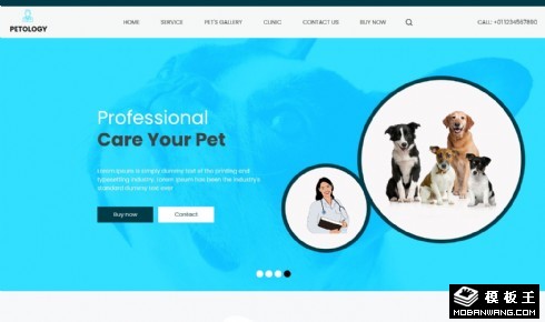 宠物医疗服务响应式网页模板