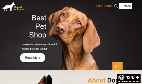宠物商店寄养响应式网页模板