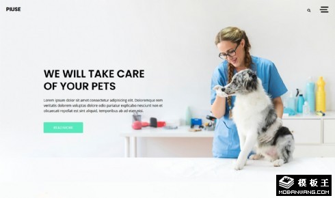 宠物医疗美容响应式网页模板
