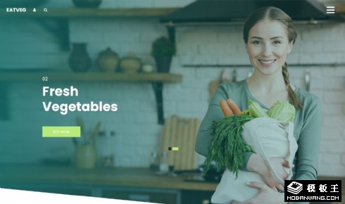 蔬菜农产品销售平台网页模板