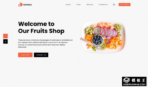 精选水果店在线网页模板