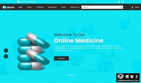 在线医药健康服务网页模板