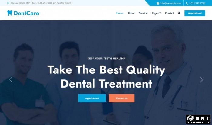 牙科美容治疗网页模板