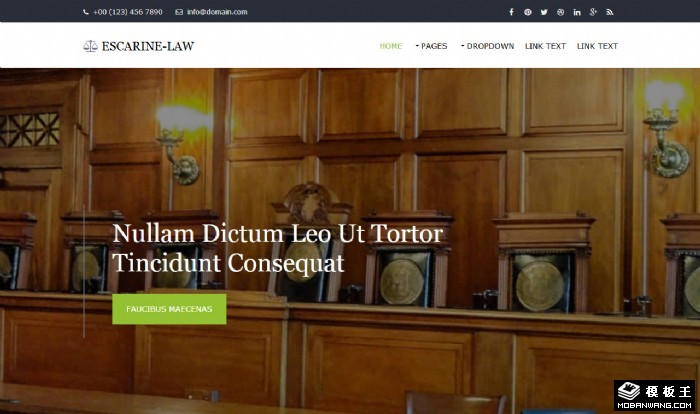 法律商业顾问团队网页模板