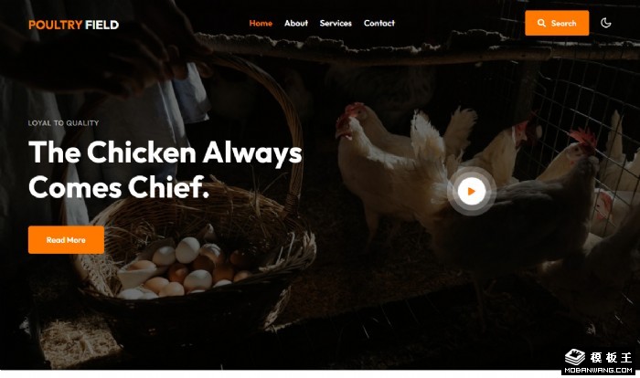 家禽养鸡场展示网页模板