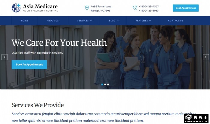 综合医疗机构网页模板